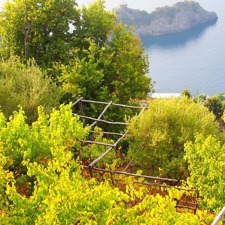 Giardino Sul Mare Lägenhet Amalfi Exteriör bild