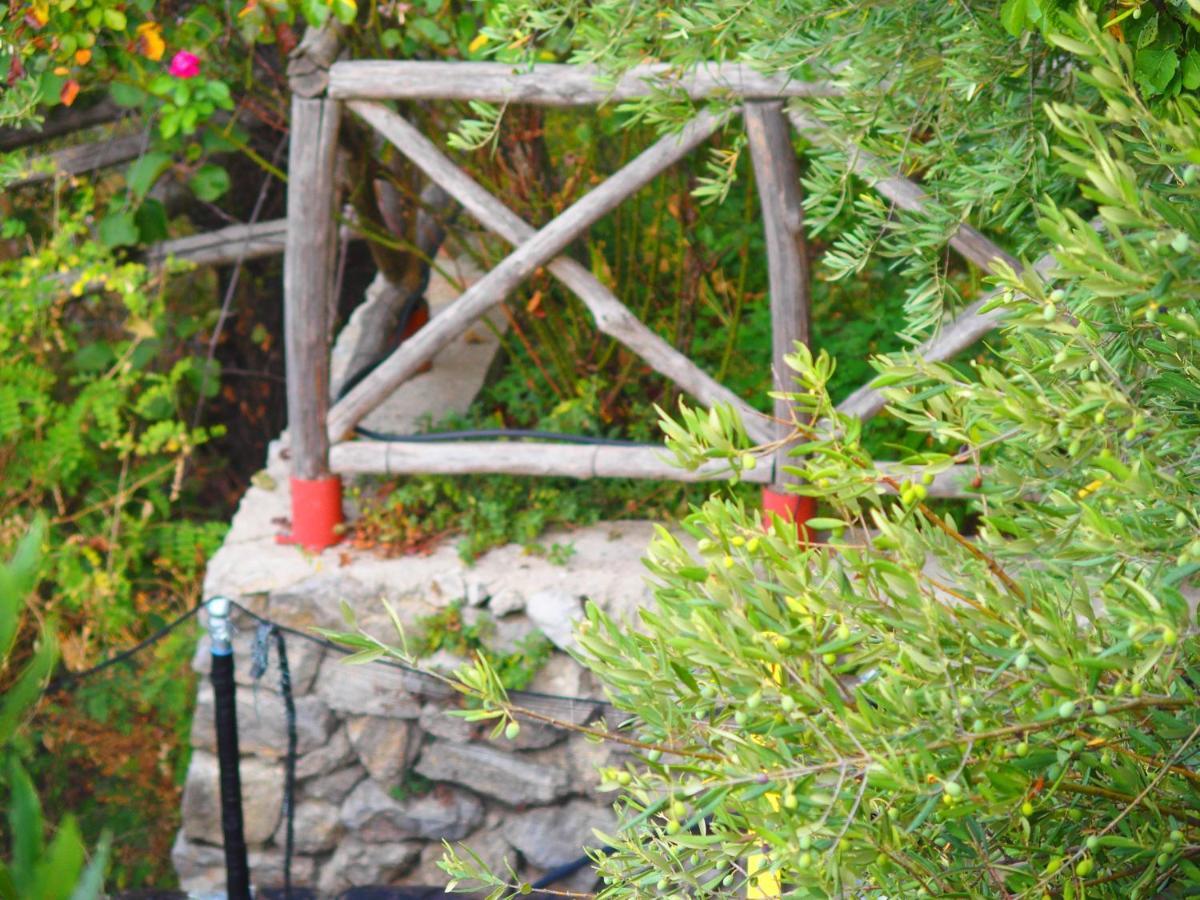 Giardino Sul Mare Lägenhet Amalfi Exteriör bild